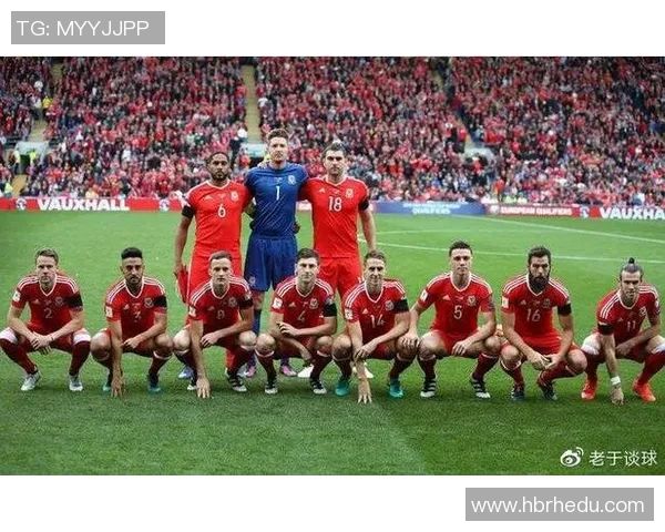 俄罗斯与斯洛伐克足球赛预测比分分析及胜负走势探讨